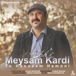 Meysam Kardi – To Hanozam Hamoni